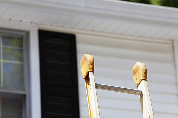 Best Insulated Siding Installation  in Mundelein, IL